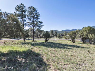 /international/us/263-royal-troon-drive-lot-85-williams-az-110106977946/