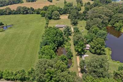 /international/us/8783-deadfall-millington-tn-110100208678/