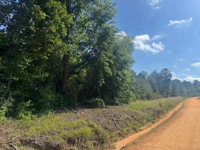 /international/us/lewis-drive-lot-6-georgetown-ga-110108334010/