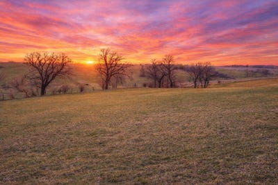 /international/us/1774-peppy-place-road-decorah-ia-110107199057/