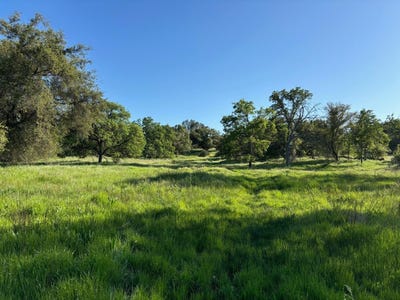 /international/us/0-white-thorne-clovis-ca-110098686977/