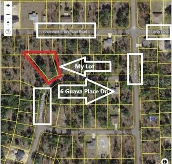 /international/us/0024-guava-pass-drive-ocklawaha-fl-110102064799/