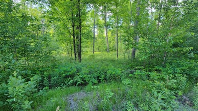 /international/us/on-brady-ln-elcho-wi-110108821445/