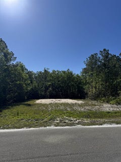 /international/us/old-palmetto-path-st-marks-fl-110098831031/