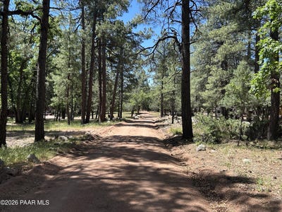 /international/us/374-n-majestic-elk-lane-payson-az-110108612794/