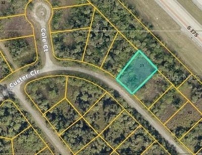 /international/us/custer-circle-north-port-fl-110101509554/