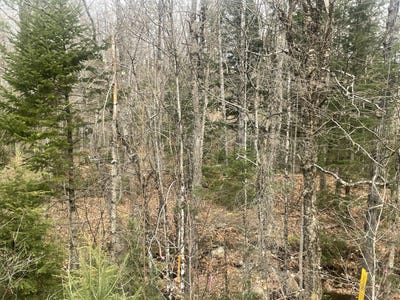 /international/us/roxbury-notch-road-lot-22-roxbury-me-110095948793/