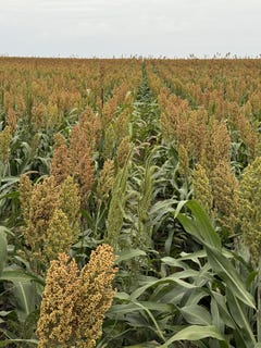 /international/us/e-road-17-ulysses-ks-110106616188/