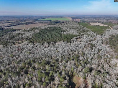 /international/us/0000-salley-road-salley-sc-110101987775/
