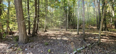 /international/us/645-evergreen-drive-falls-pa-110102170397/