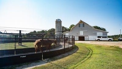 /international/us/1403-moores-mill-road-rougemont-nc-110086245536/