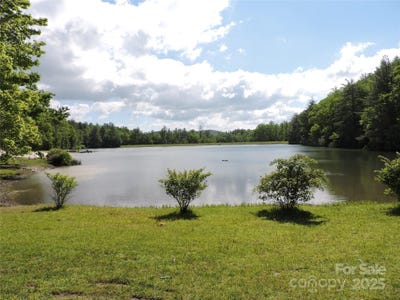 /international/us/0-swiss-pine-lake-drive-spruce-pine-nc-110099639565/