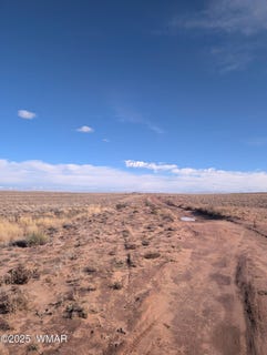 /international/us/rancho-124-lot-69-sun-valley-az-110097823724/