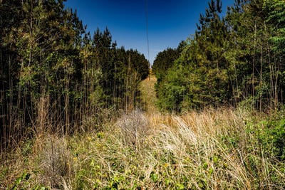 /international/us/0-burntfields-rd-fulton-ms-110107892297/