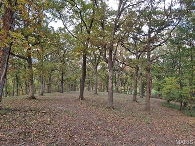 /international/us/0-highway-d-tract-5a-14-acres-eolia-mo-110108707389/