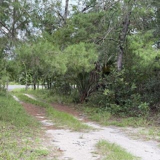 /international/us/421-s-county-road-315-interlachen-fl-110110169198/