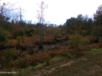 /international/us/big-island-road-lot-44964-white-oak-nc-110107651292/