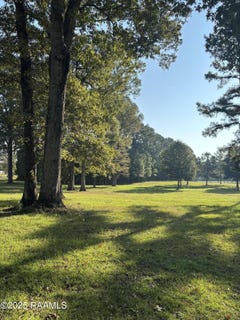 /international/us/399-athus-melder-lot-see-survey-forest-hill-la-110105414745/