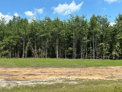 /international/us/2-ac-cottonwood-rd-hwy-53-cottonwood-al-110119455387/