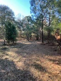 /international/us/275-276-sunset-georgetown-ga-110102052287/