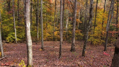 /international/us/lot-55-the-reserve-at-cliffview-zoe-ky-110095512056/?lang=en