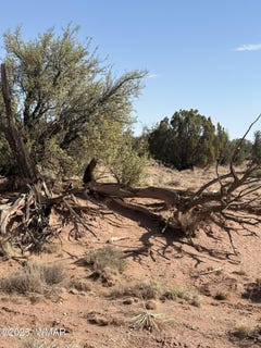 /international/us/8580b-lawson-lane-snowflake-az-110101057646/?lang=en