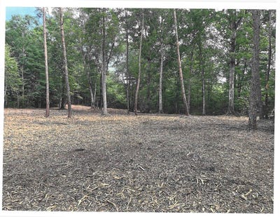 /international/us/0-warrick-barn-road-amherst-va-110101006783/?lang=zh-tw
