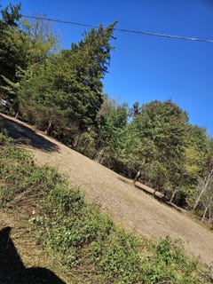/international/us/0-sugar-tree-trail-birchwood-tn-110095961613/