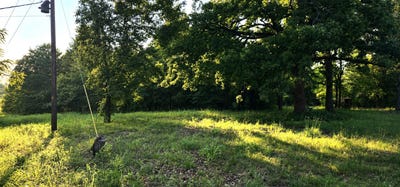 /international/us/14598-county-road-1122-athens-tx-110108918876/