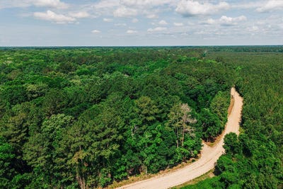 /international/us/parnel-road-cope-sc-110108141464/