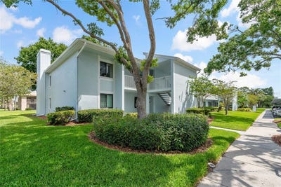 /international/us/306-martha-lane-oldsmar-fl-110099897755/