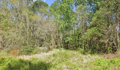 /international/us/217-dogwood-avenue-georgetown-fl-110120112647/