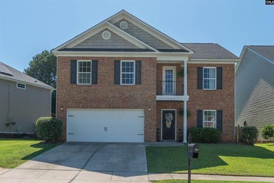 /international/us/133-palm-st-chapin-sc-110108739793/