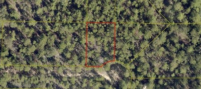 /international/us/164-e-honeysuckle-street-mossy-head-fl-110097657573/?lang=en