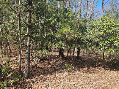 /international/us/mt-retreat-road-roaring-gap-nc-110106615594/