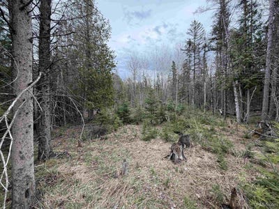 /international/us/old-us-41-road-trenary-mi-110107833938/