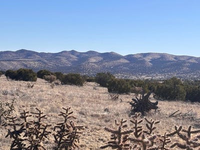 /international/us/lot-168-pinon-springs-magdalena-nm-110107879085/