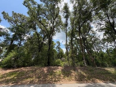 /international/us/1132-clover-terrace-inverness-fl-110100941804/?lang=zh-tw