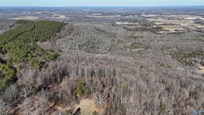 /international/us/82-acres-county-road-81-russellville-al-110097039191/