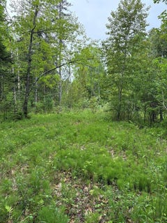 /international/us/tbd-fitz-road-kenduskeag-me-110108505508/