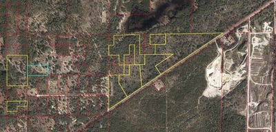 /international/us/sw-archer-archer-fl-110078242282/?lang=zh-tw