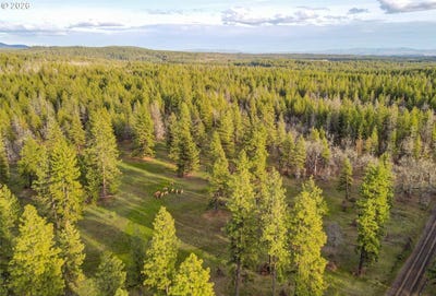 /international/us/lot-15-greyback-mt-rd-goldendale-wa-110109010999/?lang=pt