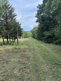 /international/us/highway-t-weaubleau-mo-110108017224/