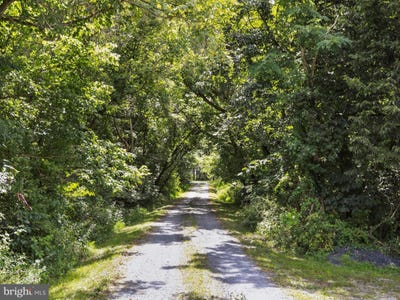 /international/us/tbd-sandy-hook-road-strasburg-va-110101541986/