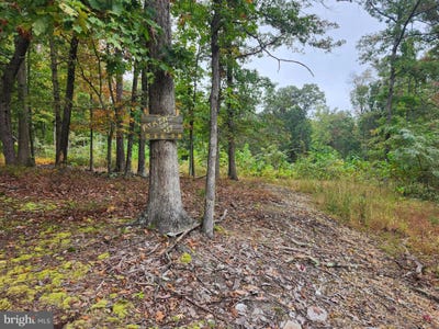 /international/us/quaker-lake-trail-lot-17-capon-bridge-wv-110120118281/