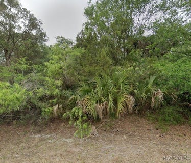 /international/us/8272-n-maple-avenue-crystal-river-fl-110101066383/?lang=en