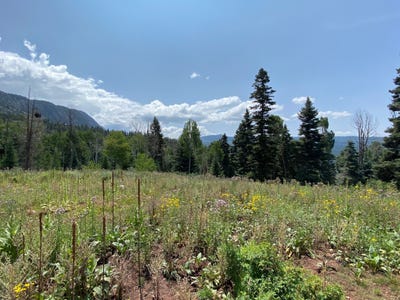 /international/us/aspen-bluff-5-chama-nm-110101852673/