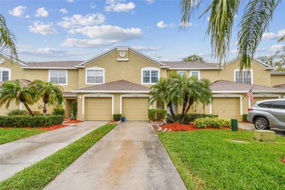 /international/us/11162-kapok-grand-circle-madeira-beach-fl-110097683740/