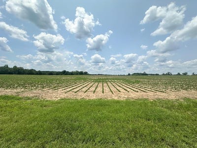 /international/us/10-acres-lot-2-j-saunders-dothan-al-110099901425/