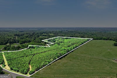 /international/us/x0x0-court-ground-road-washington-ga-110108578034/